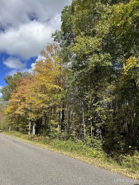 6 Acres Memory, Fence T-wi, WI 54120
