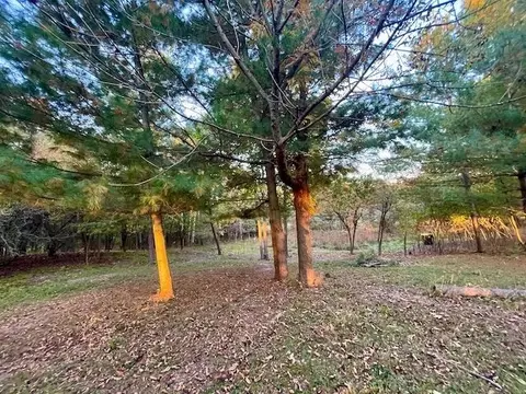 Lot 263 Islanders Way, Gladwin, MI 48624 photo 4