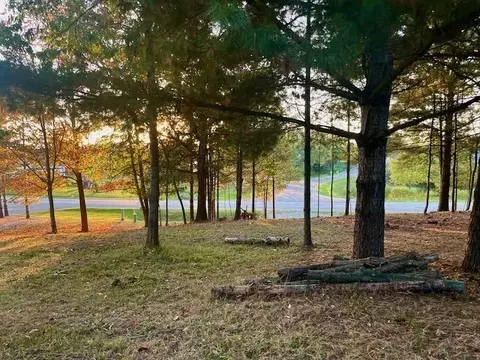 Lot 263 Islanders Way, Gladwin, MI 48624 photo 8