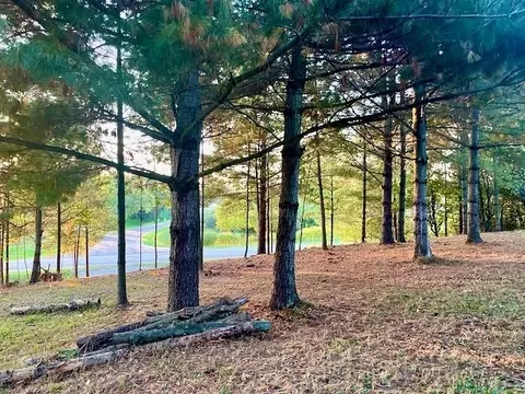 Lot 263 Islanders Way, Gladwin, MI 48624 photo 6