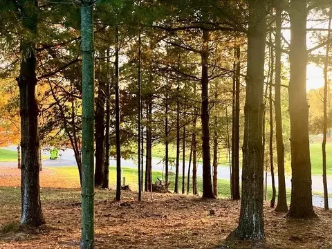 Lot 263 Islanders Way, Gladwin, MI 48624 photo 7