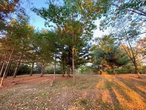 Lot 263 Islanders Way, Gladwin, MI 48624 photo 9