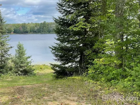 47 13 S6 Carpenter Lk, Seney, MI 49883