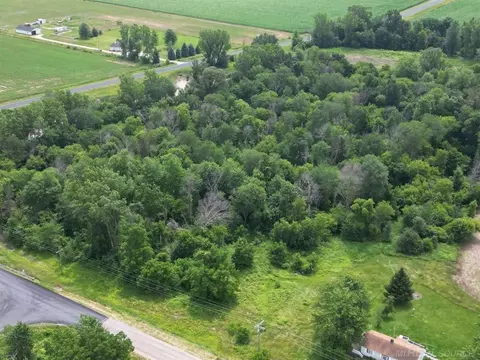 Tbd Frenchline & Ruth Road, Carsonville, MI 48419