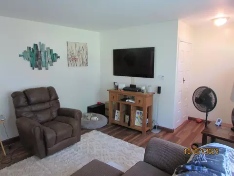 522 Cherry, Linden, MI 48451 photo 17
