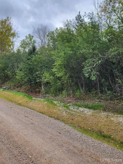 Tbd S Superior, Crystal Falls, MI 49920
