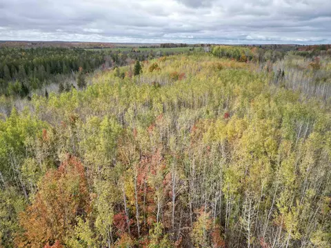Tbd Off Cr Sp, Felch, MI 49831