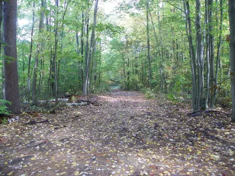 Nhn Russell Dr, Harrison, MI 48625