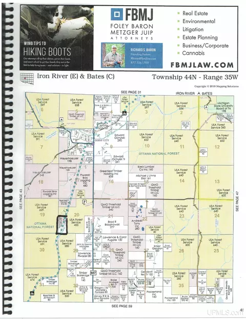 80 Acres Gibbs City, Iron River, MI 49935