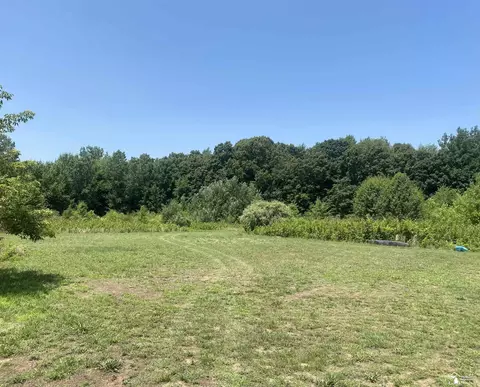 Parcel 2 Morocco, Petersburg, MI 49270