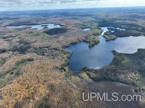 5800 Wolf Lk, Watersmeet, MI 49969