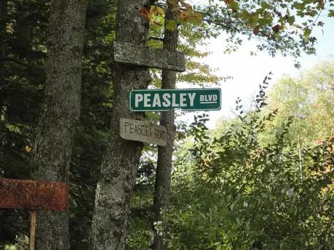 Nhn Peasley, Harrison, MI 48625