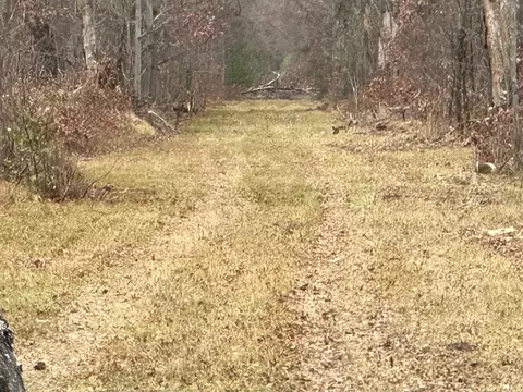 60 E Acres E Cranberry Lk, Harrison, MI 48625 photo 5