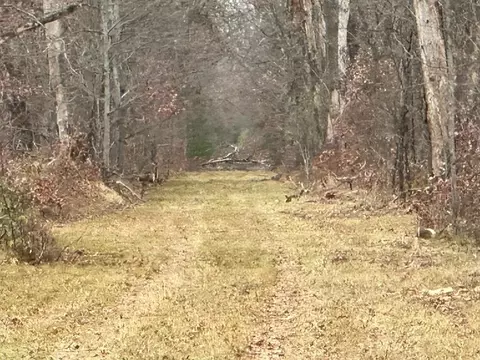 60 E Acres E Cranberry Lk, Harrison, MI 48625 photo 6