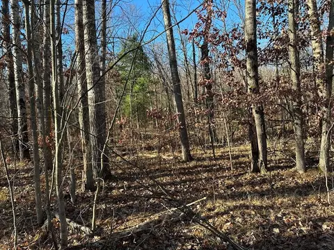 60 E Acres E Cranberry Lk, Harrison, MI 48625 photo 12