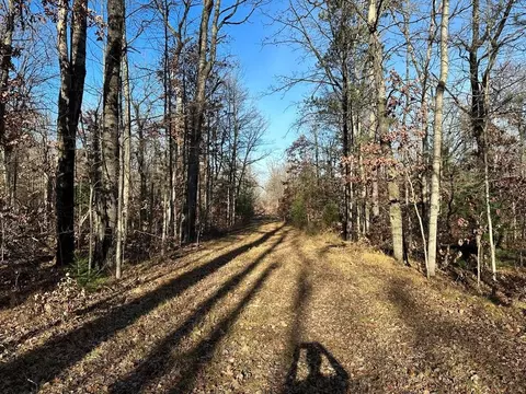60 E Acres E Cranberry Lk, Harrison, MI 48625 photo 3