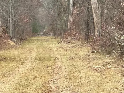 60 E Acres E Cranberry Lk, Harrison, MI 48625 photo 4