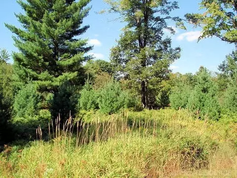 6249 Cedar, Stanwood, MI 49346