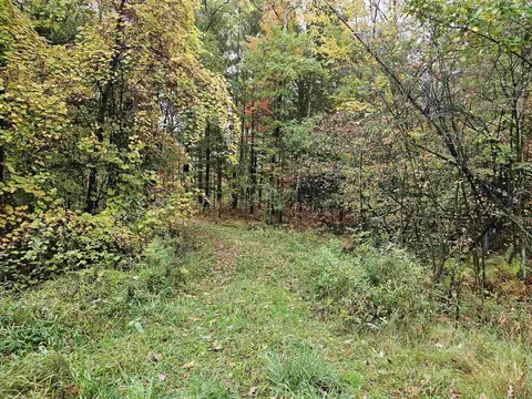 Nhn 5 Acres Harrison, Harrison, MI 48625