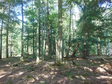 21194 Vick S, L'anse, MI 49946 photo 85