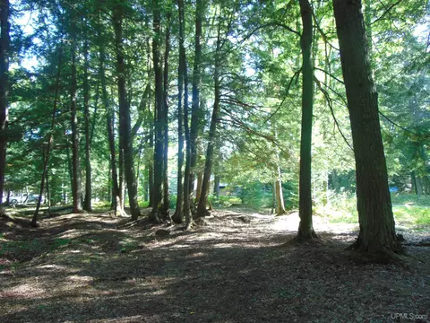 21194 Vick S, L'anse, MI 49946 photo 86