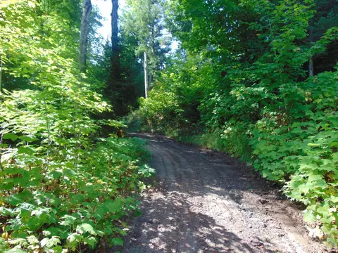 21194 Vick S, L'anse, MI 49946 photo 78