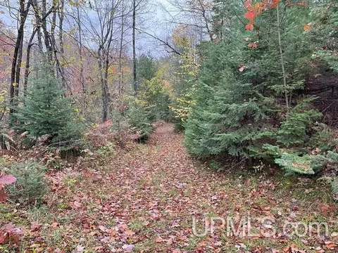 24380 Co Rd 476, Ishpeming, MI 49849 photo 49