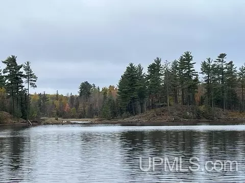 24380 Co Rd 476, Ishpeming, MI 49849 photo 60