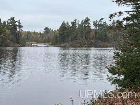 24380 Co Rd 476, Ishpeming, MI 49849 photo 52