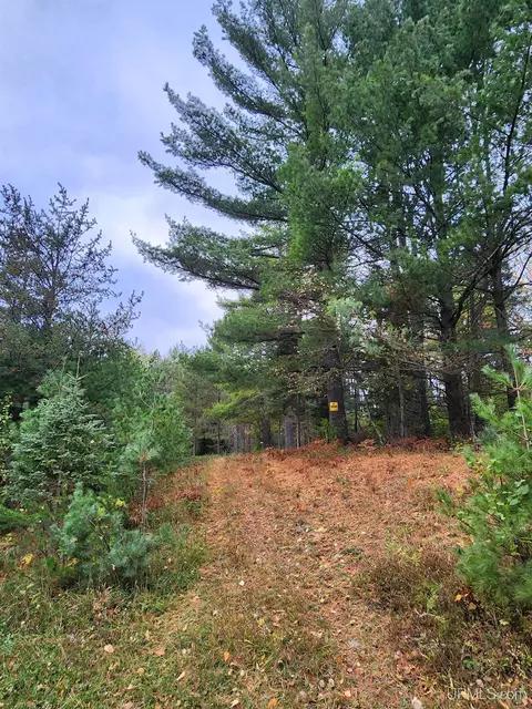 1040 River Rdg, Ishpeming, MI 49848 photo 16