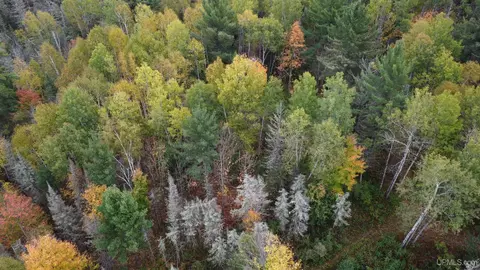1040 River Rdg, Ishpeming, MI 49848 photo 5