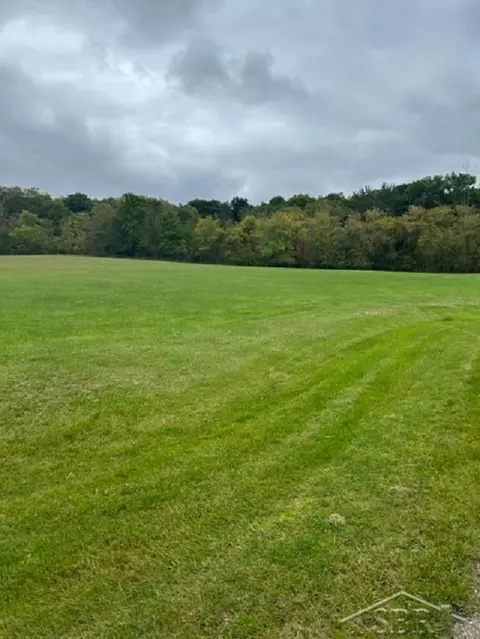 V/l Alexander, Vassar, MI 48768