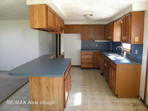266 E Henderson, Owosso, MI 48867 photo 5