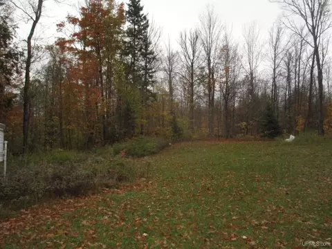 15530 Light Blue, Nisula, MI 49952