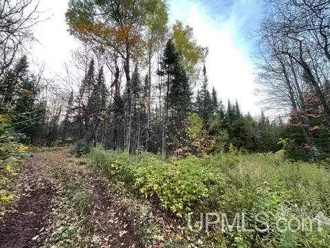 9721 N Forest Rd 523 To Hallberg To 8643 #FR 8643 TO COPPS MINE RD, Marenisco, MI 49947