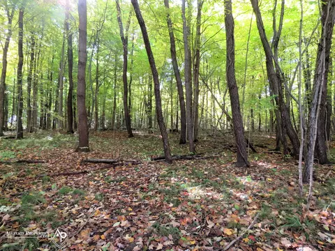 10386 Clark, Davison, MI 48423 photo 5