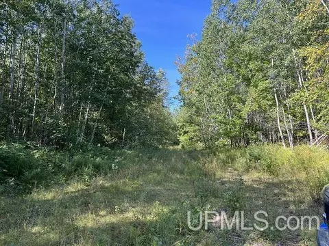120 Acres Off Stack Grade, Skandia, MI 49885