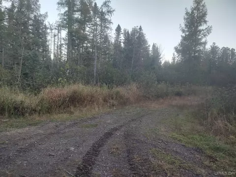 Tbd Hakkinen, L'anse, MI 49946