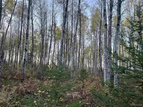 Tbd Ross Grade, Arnold, MI 49819 photo 3