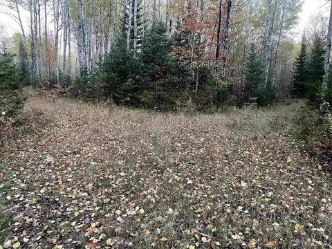 Tbd Ross Grade, Arnold, MI 49819