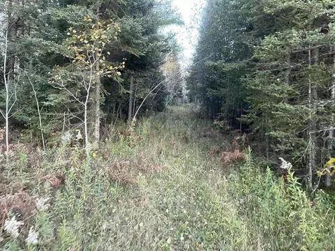 Tbd Ross Grade, Arnold, MI 49819 photo 5