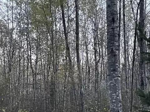Tbd Ross Grade, Arnold, MI 49819 photo 4