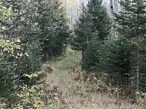 Tbd Ross Grade, Arnold, MI 49819 photo 7