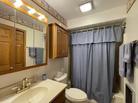 1173 Wheatona Ct, Gladwin, MI 48624 photo 24