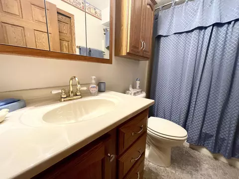1173 Wheatona Ct, Gladwin, MI 48624 photo 25