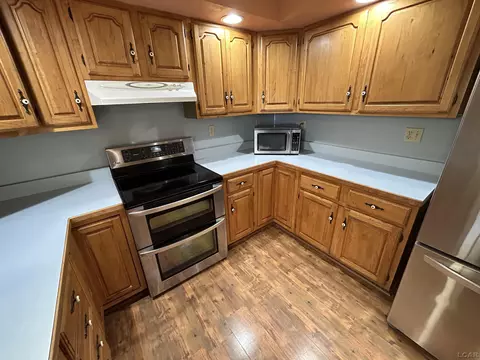 143 Cheever, Britton, MI 49229 photo 11
