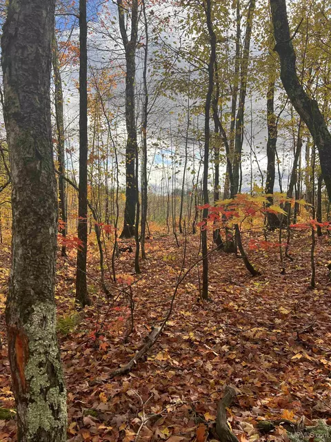 Tbd 20 Acres Off Obenhoff, Atlantic Mine, MI 49905