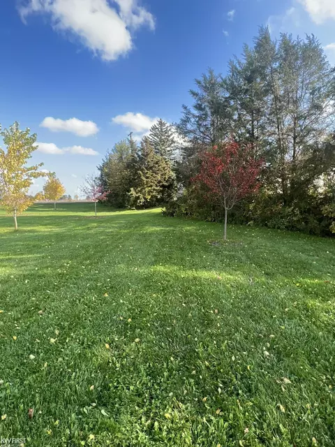 2010 Briggs, Munger, MI 48747 photo 11