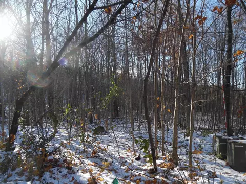1502 Sugar Maple, Houghton, MI 49931