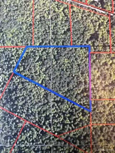 Lot 19 Miscauno Island, Daggett, MI 49821